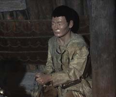 помошник шамана